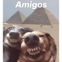 ملصق