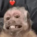 Límmiði