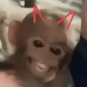 Límmiði