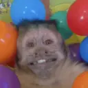 Límmiði