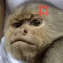 ملصق