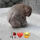 ملصق
