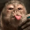 ملصق