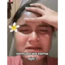 Stika