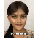 Stika