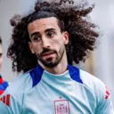 ملصق