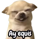 Çıkartma