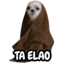 Çıkartma