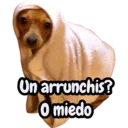 Çıkartma