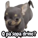 Çıkartma