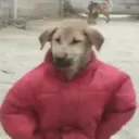 Ngjitës