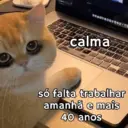Samolepka