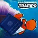 Samolepka