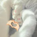 ملصق