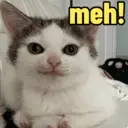 ملصق