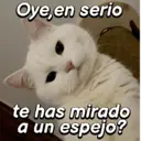 ملصق