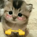 ステッカー