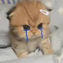 ステッカー