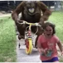 ملصق
