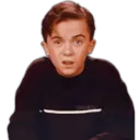 Samolepka