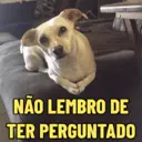 Figurinha
