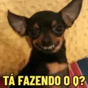 Figurinha