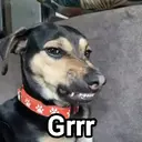 Çıkartma