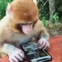 스티커