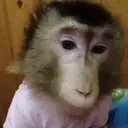 스티커