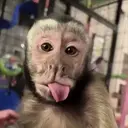 스티커