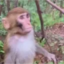 스티커