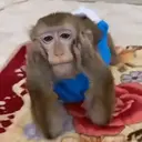 스티커