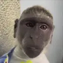 스티커