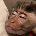 스티커