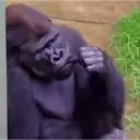 스티커