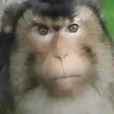 스티커
