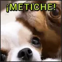 Çıkartma