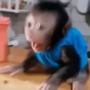 Çıkartma