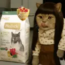Figurinha