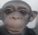 स्टिकर