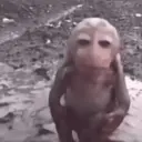 स्टिकर