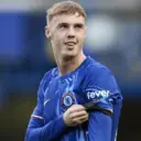 ملصق