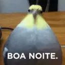 Figurinha