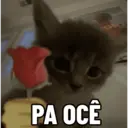 Figurinha