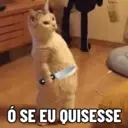 Figurinha