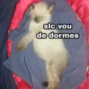 Figurinha