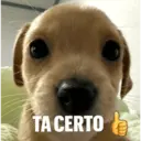Figurinha