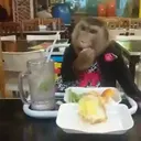 Çıkartma