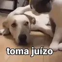 ملصق