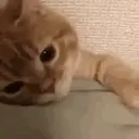 ملصق